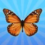 About MergeButerfly: 2048! involves connecting matching items to evolve them into beautiful blue butterflies.